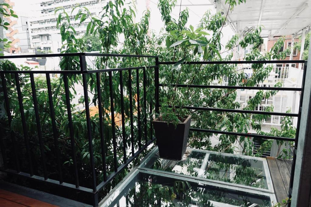 Zahrada ubytování Fuqi Hostel - Heping