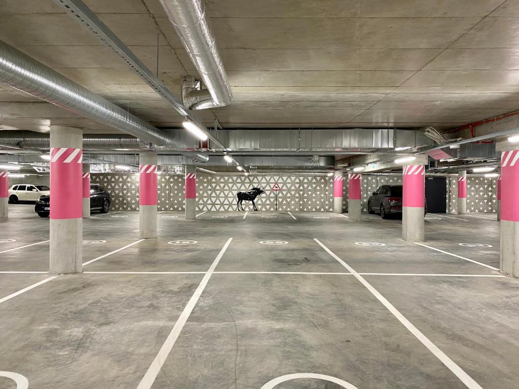 Fotografie z fotogalerie ubytování Elegance Apartment - City Centre Free Parking v Tallinnu