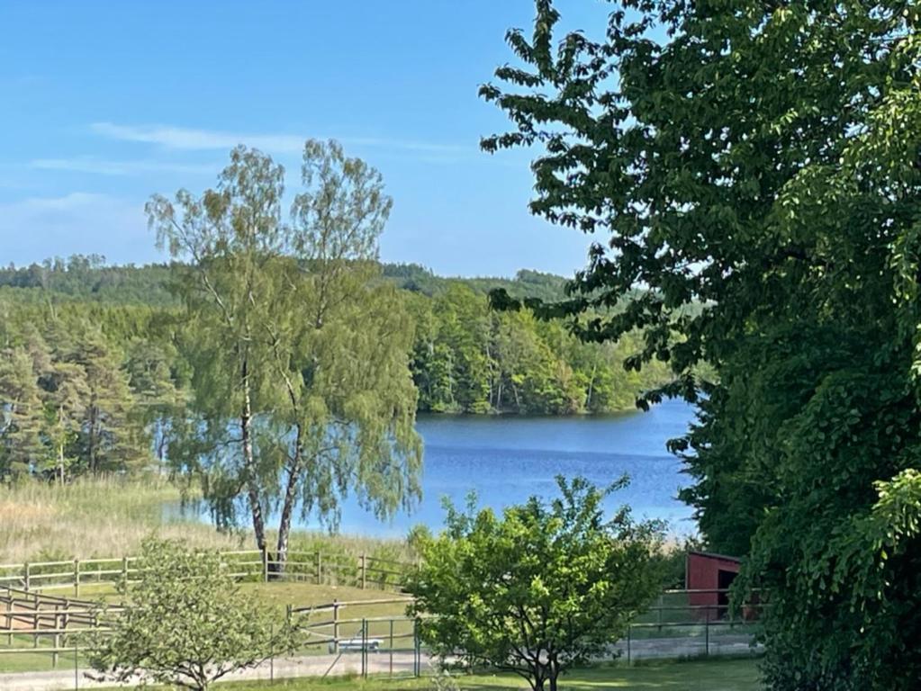 Stuga Ljungsjön في فالكنبرغ: بحيرة في وسط ميدان فيه اشجار