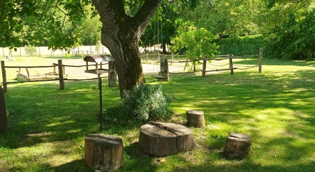 a tree with logs in the grass next to a fence at le clos des chevaliers in Pons