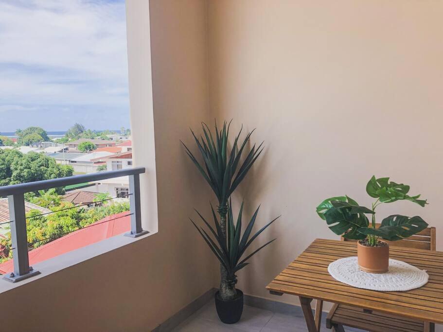 une table avec deux plantes en pot à côté d'une fenêtre dans l'établissement Appartement TERUPE, à Papeete