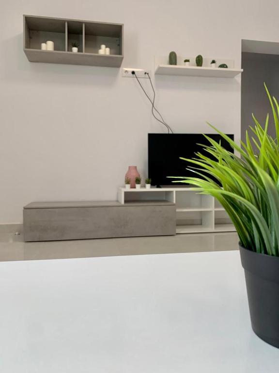 a living room with a television and a potted plant at EL SOL ANDALUZ - CASA GOYA in Carboneras