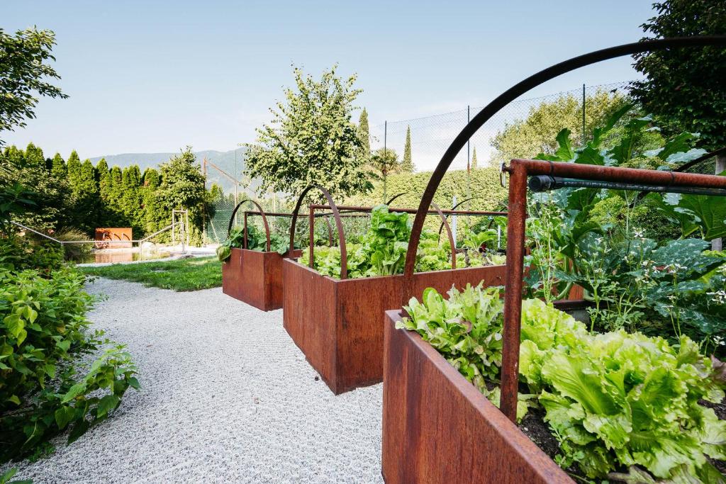Zahrada ubytování Gästehaus Salvatorianerinnen