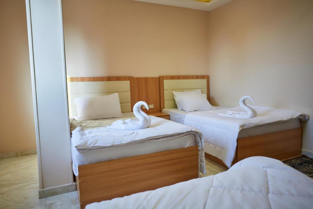 Grand Pyramid View Hotel - 16