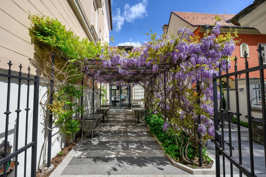 Maison Bistro & Hotel - Resim 38