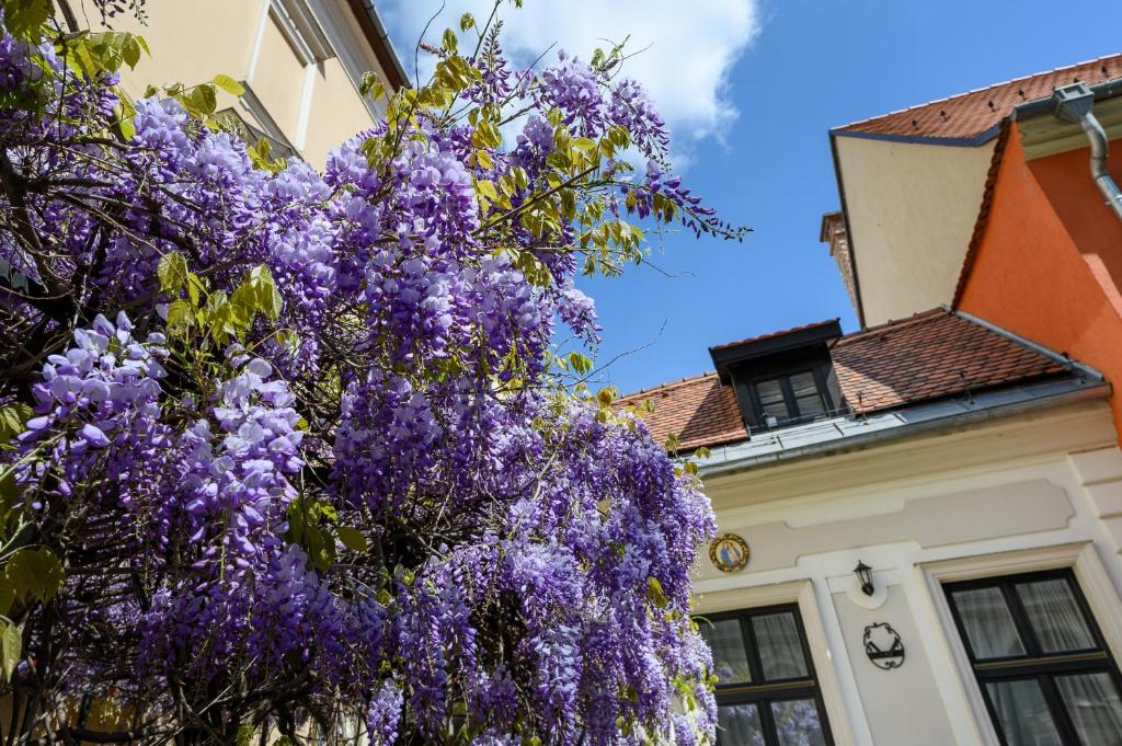 Maison Bistro & Hotel - Resim 40