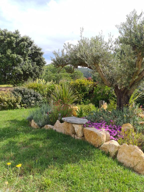 Zahrada ubytování Gîte spa la parenthèse,privatif,sauve,gard,Occitanie