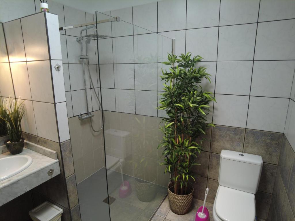 Koupelna v ubytování Aloha 45