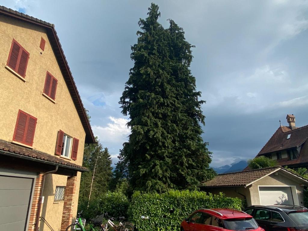 Budova, kde se apartmán nachází