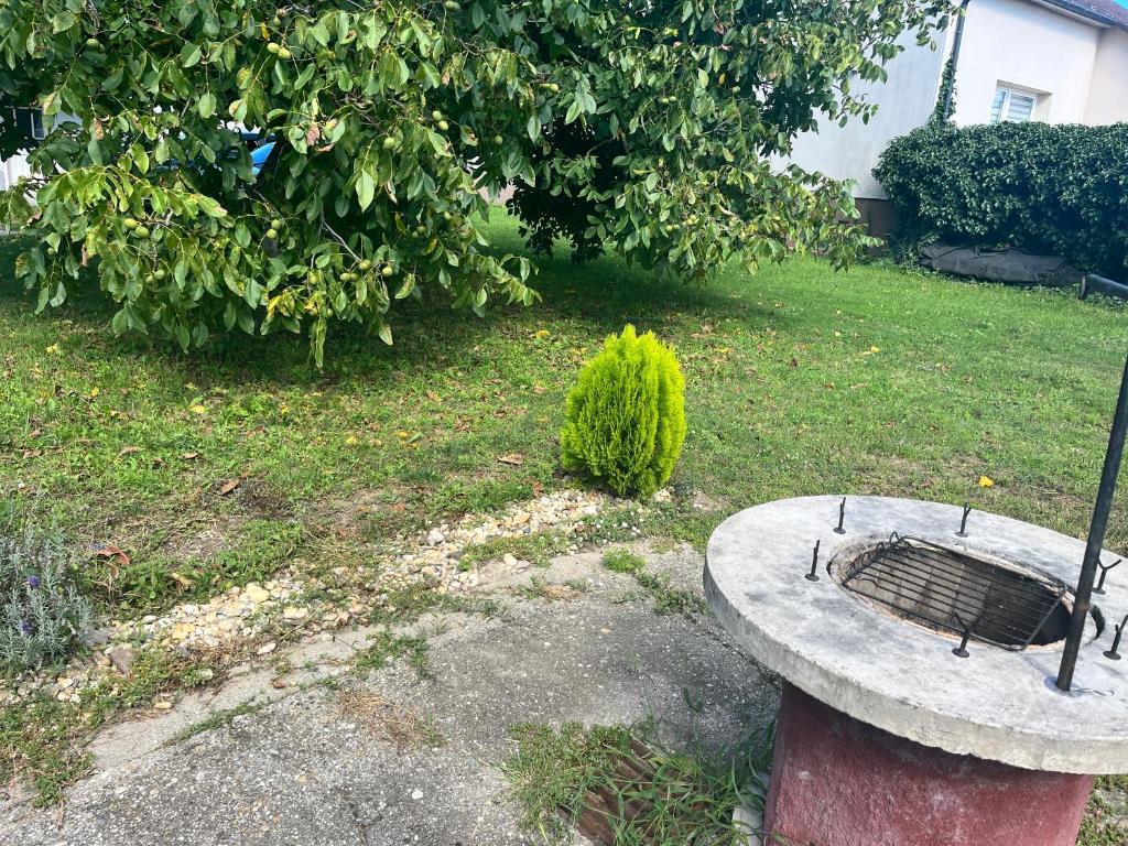 Fotografia z galérie ubytovania Kupai Apartman v Tiszaújvárosi
