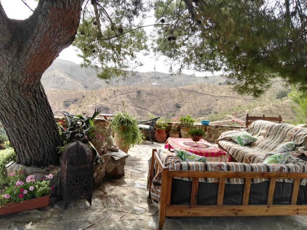patio z kanapami i drzewem z widokiem w obiekcie Pinar El Almendra w Maladze