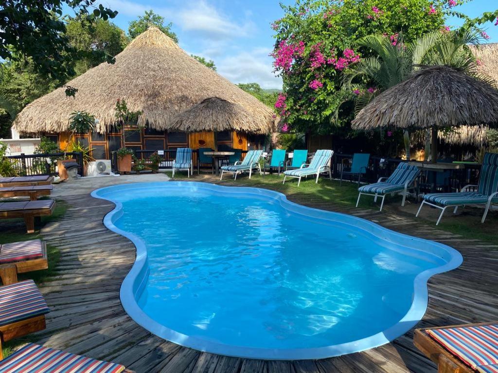 a pool at a resort with chairs and tables at Bikini Hotel & Pool in Palomino