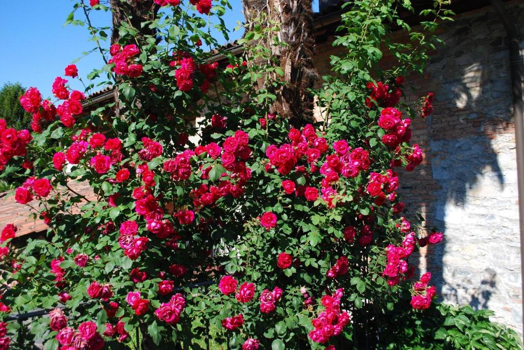 Hotel&Hostel Montarina - Resim 38