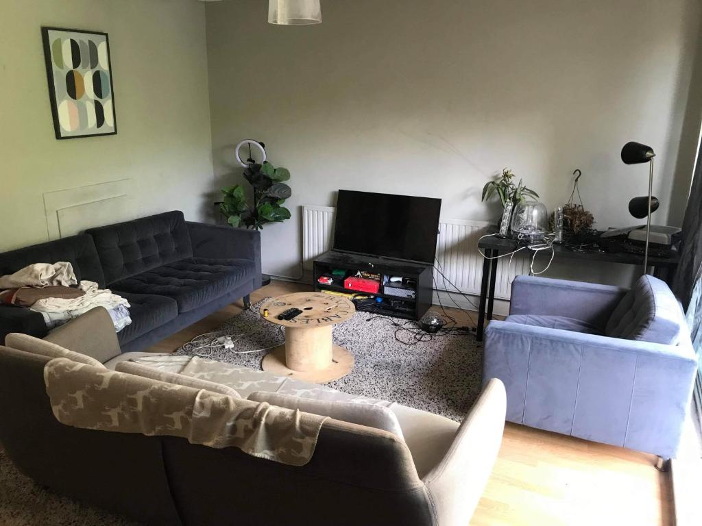 a living room with two couches and a tv at Luxury House in heart of South London in London
