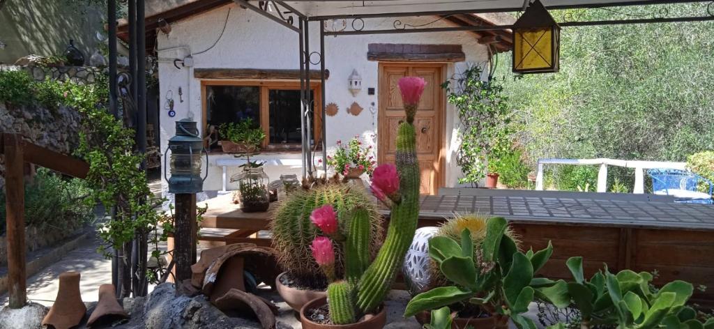 Vonkajšia záhrada v ubytovaní Cottage Pura Vigna immerso nella natura vicino al mare