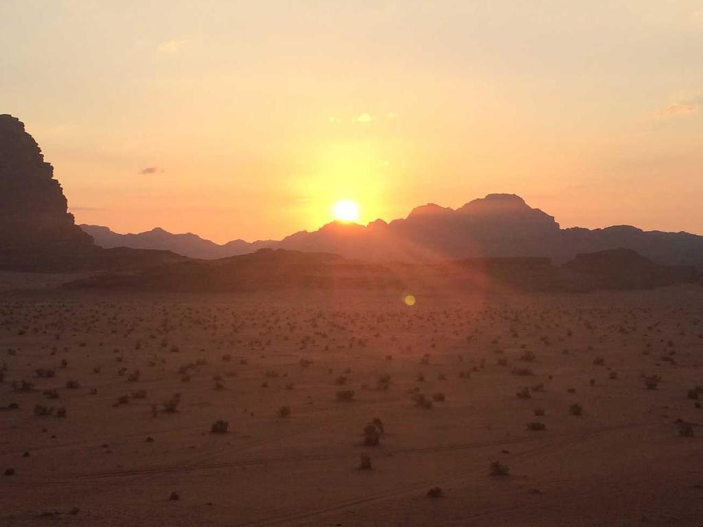 a group of animals in the desert at sunset at Wadi rum moon camp in Disah