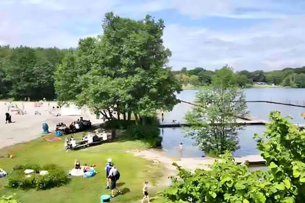 a group of people sitting on the grass near a lake at Cheerful 3-bedroom Home, Close To Lakes in Farum