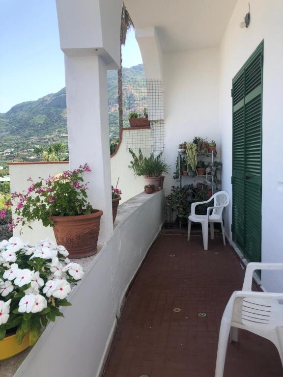 un balcone con fiori e una porta verde di A cas e Rosa a Ischia