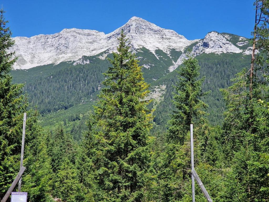 Příroda nedaleko apartmánu