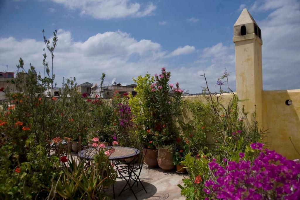 Zahrada ubytování Riad Al Bartal