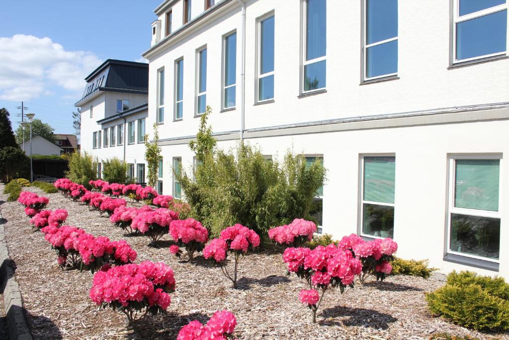 Zahrada ubytování Solborg Folkehøgskole Hostel