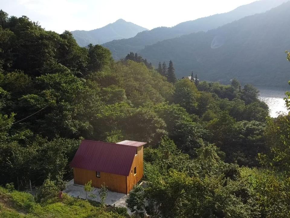 una pequeña cabaña de madera en medio de un bosque en Guest cottage - Nanka's house en Batumi