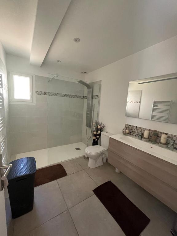 y baño con ducha, aseo y lavamanos. en Suite 16m2 indépendante dans villa, en Manosque