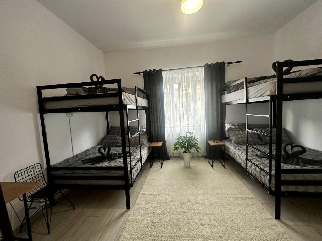 Zimmer mit 3 Etagenbetten und einem Fenster in der Unterkunft Zeus in Cluj-Napoca
