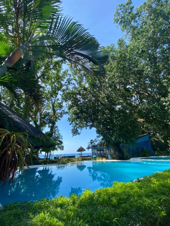 une piscine avec des arbres et l'océan en arrière-plan dans l'établissement Camiguin Island Golden Sunset Beach Club, à Mambajao