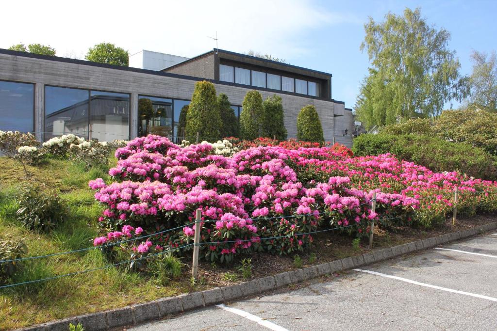 Zahrada ubytování Solborg Folkehøgskole Hostel