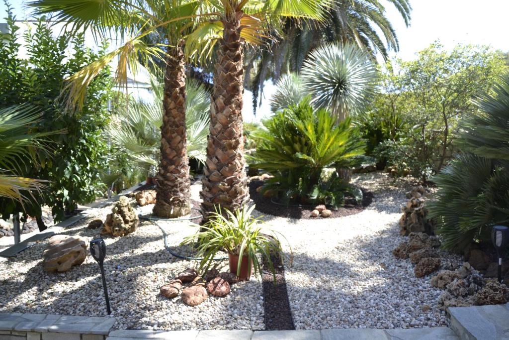 A garden outside Monica's Tropical Villa