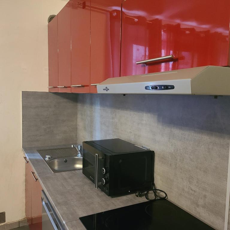 a microwave sitting on a kitchen counter next to a sink at Appartement T2 Brest Pilier Rouge avec internet in Brest