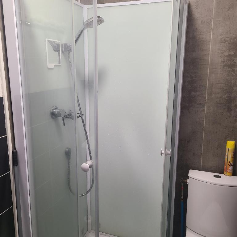 a shower with a glass door next to a toilet at Appartement T2 Brest Pilier Rouge avec internet in Brest
