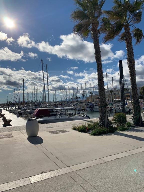 a marina with a bunch of boats in a harbor at L appartement de la plage in Le Barcarès