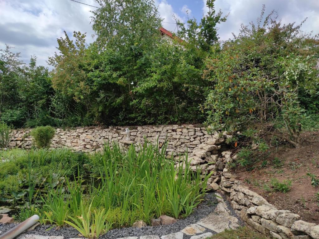 Ferienwohnung am Zweitälerweg في فايسكيرشن: جدار عازل حجري في حديقة بها نباتات
