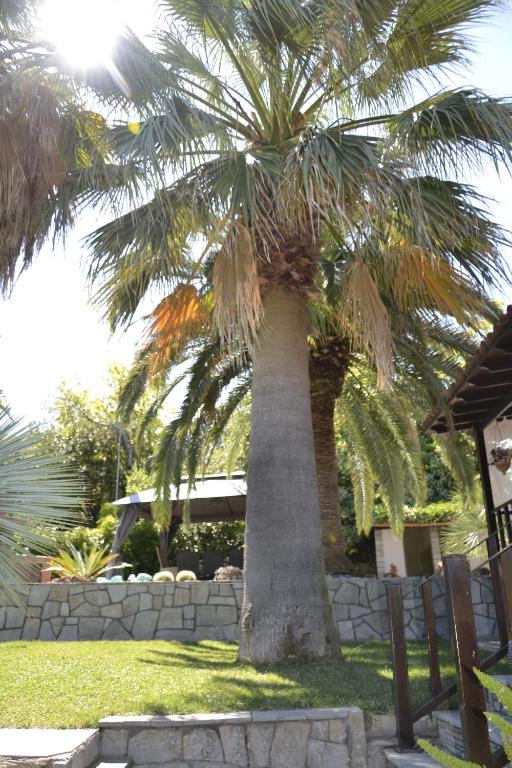 A garden outside Monica's Tropical Villa