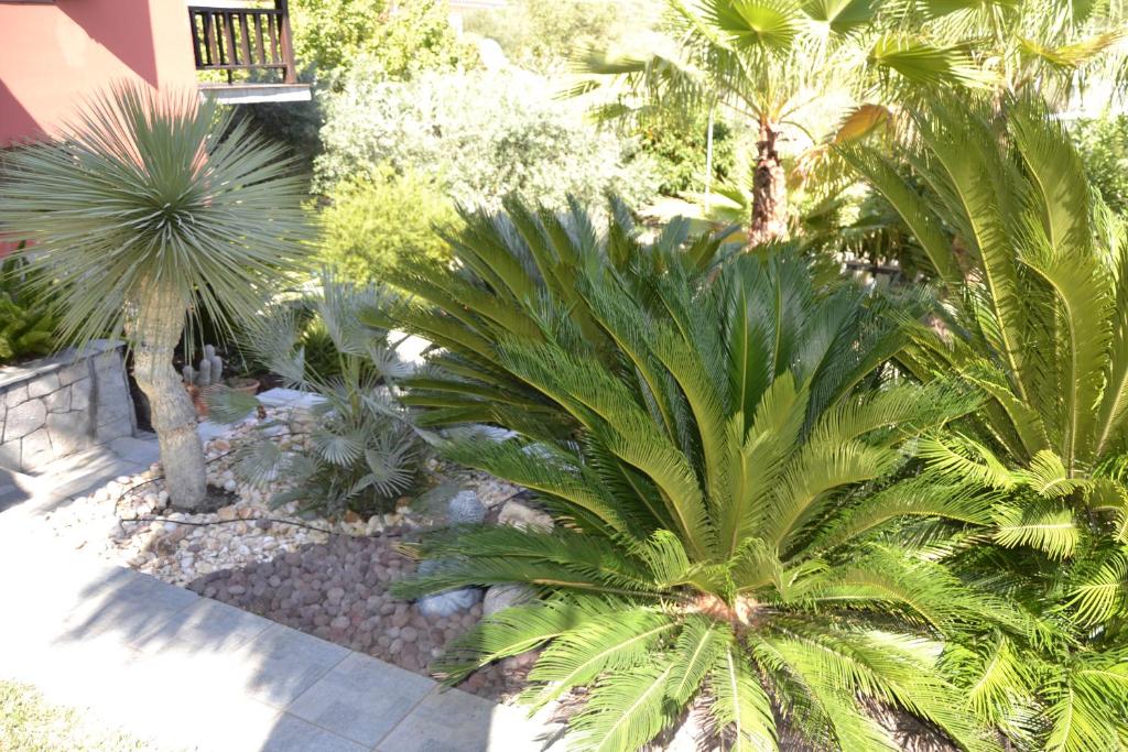 A garden outside Monica's Tropical Villa