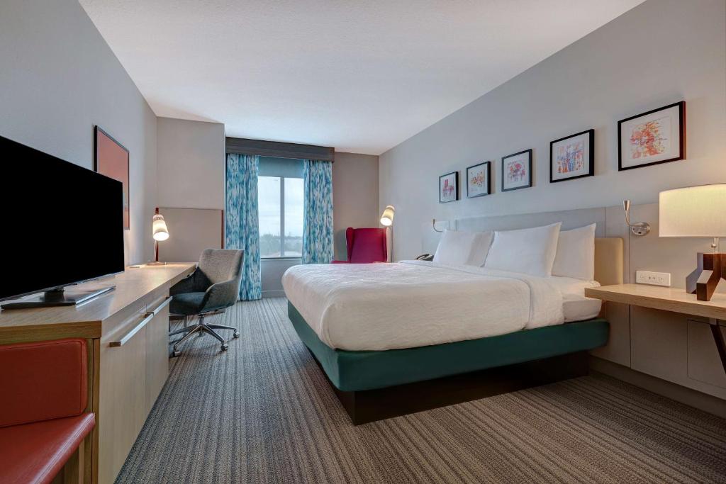 Hilton Garden Inn Tampa Northwest/Oldsmar - Suite De Un Dormitorio Con Cama King