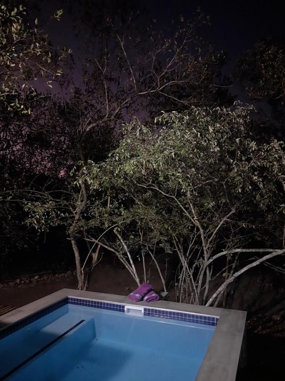 a swimming pool in front of some trees at night at Villa de Leeu, Perfect for Two in Marloth Park