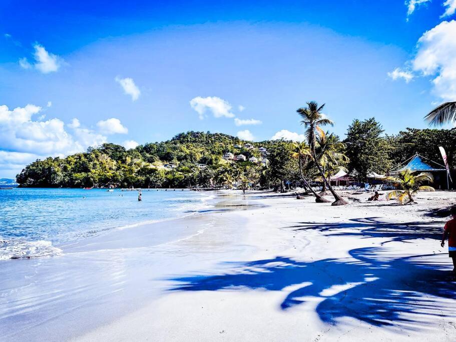 una spiaggia sabbiosa con palme e l'oceano di L'amour à la plage...vue mer exceptionnelle ! a Les Trois-Îlets