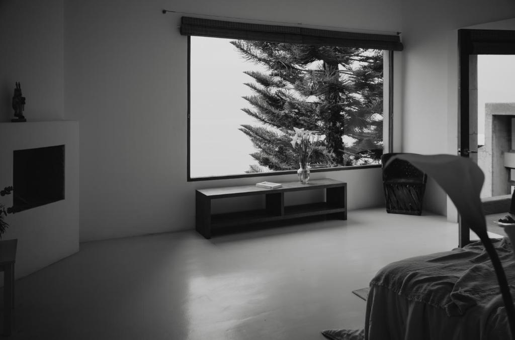 una sala de estar con un árbol fuera de una ventana en Anzan Atitlan, en San Marcos La Laguna