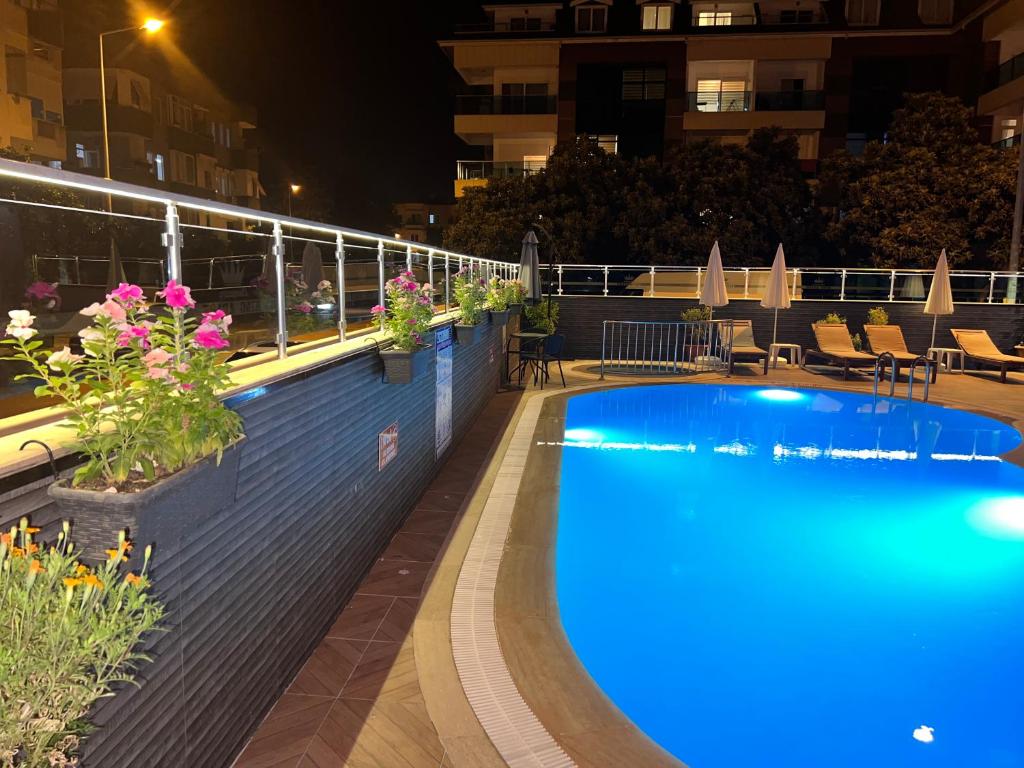 The swimming pool at or close to Cleopatra King Apart