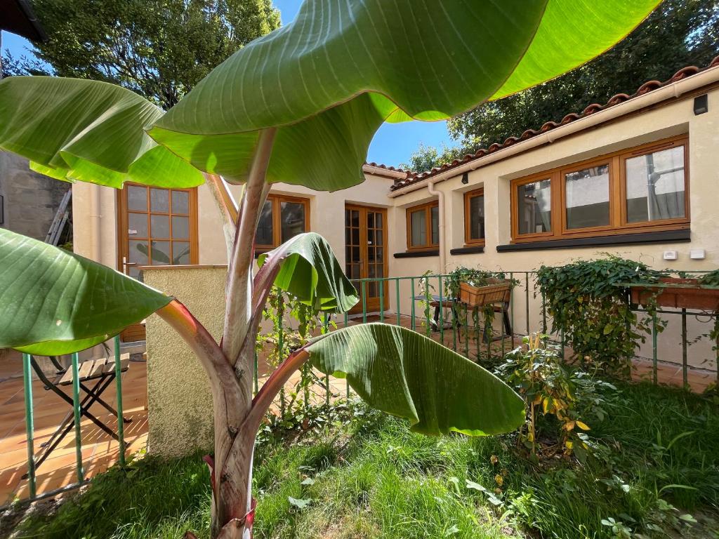 uma bananeira em frente a uma casa em Appartement cosy avec cuisine équipée et terrasse ensoleillée em Talence