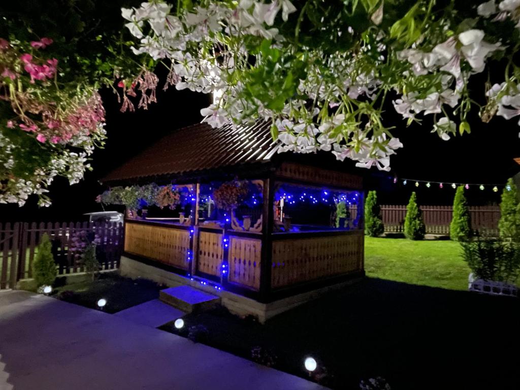 Zahrada ubytování Casa Maria Platoul Luncanilor