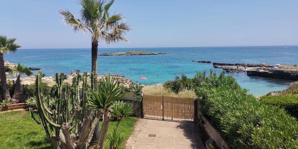 a pathway leading to a beach with a palm tree at Cuore di Ognina - Appartamenti vista mare in Ognina