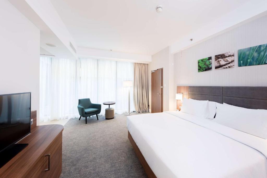 Hilton Garden Inn Bucharest Old Town - 王室 - 机动性可访问