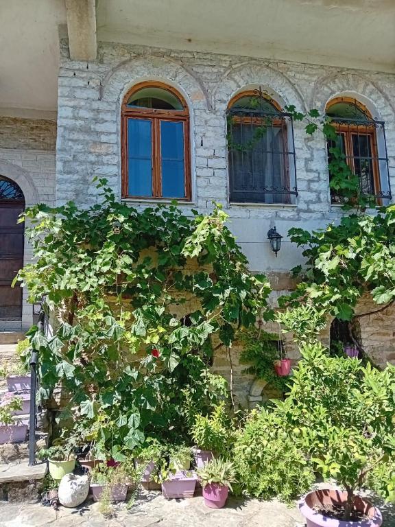 een gebouw met ramen en planten ervoor bij Stone Pazar Guest House in Gjirokastër