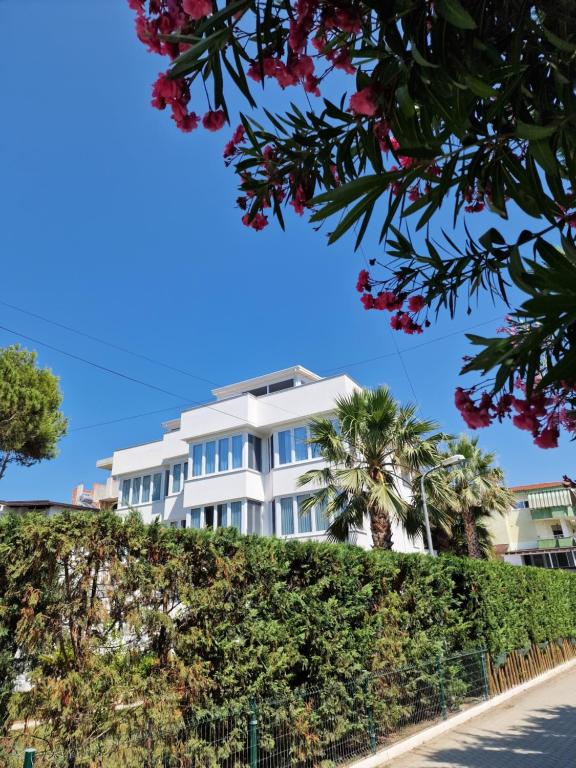 Villa Pearl Adriatic Coast 4 - Image 6