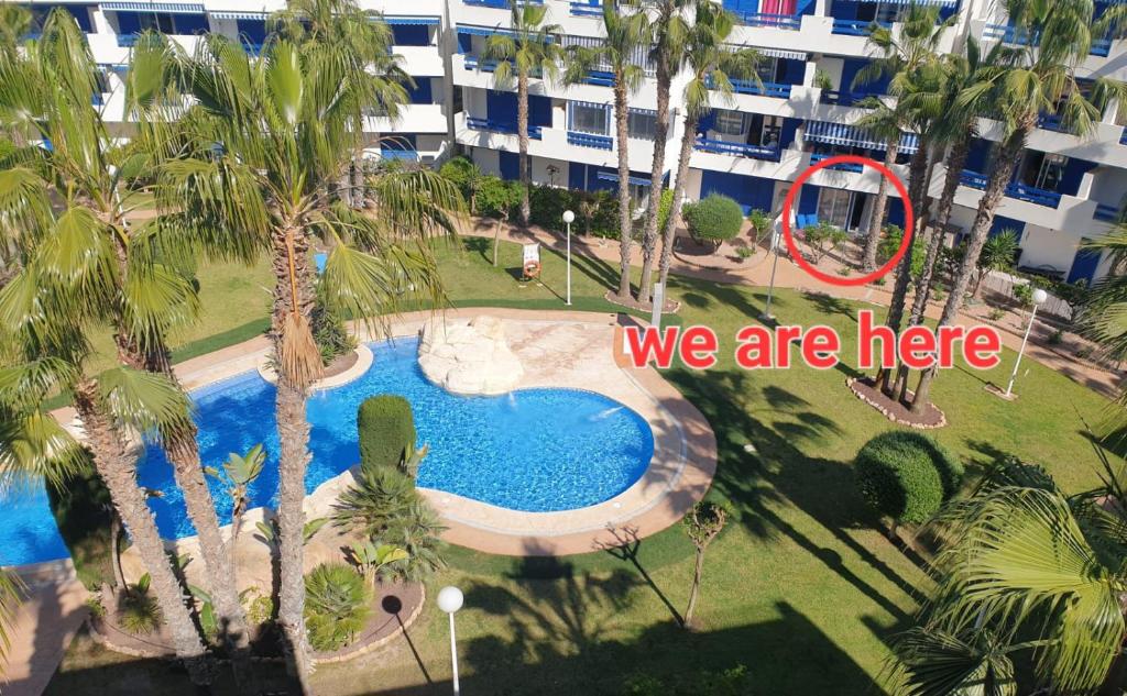La Calma - one bedroom apartment by the pool in Playa ...