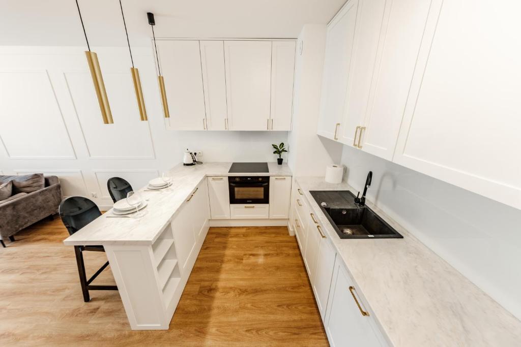 Aparthotel Plac Litewski Premium - Apartamento Superior